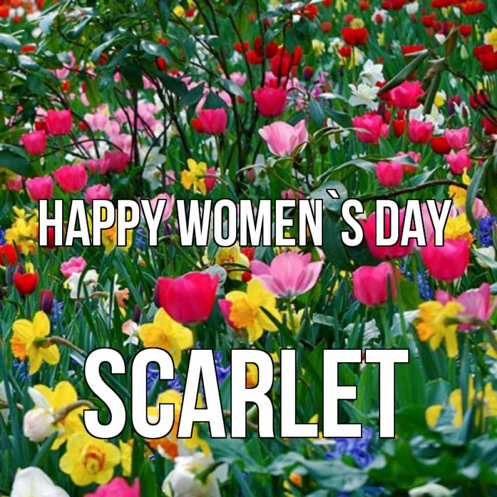 Greetings card с именем, Scarlet happy women`s day с международным женским днем поздравления для женщины Greetings with text for free download 